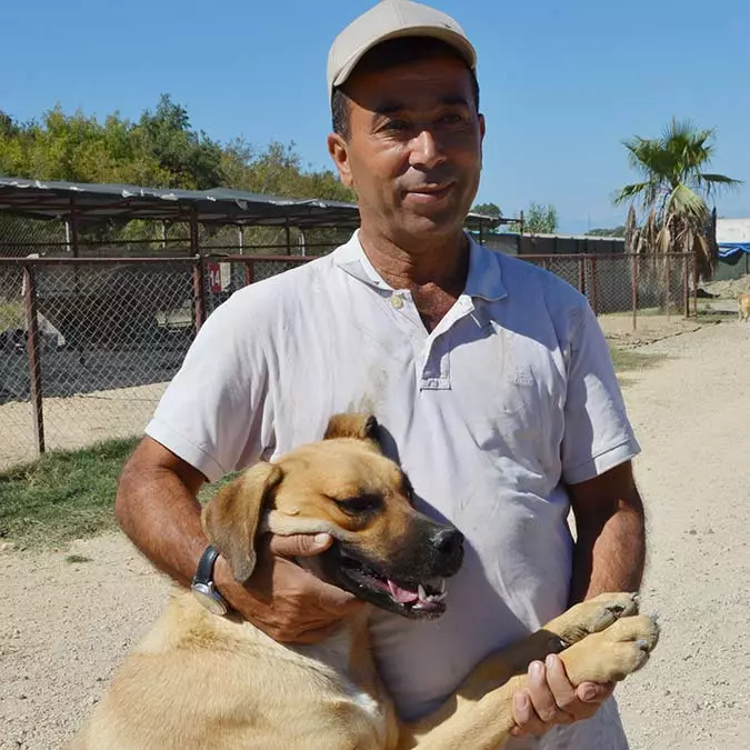 Barınak kurarak 170 sokak köpeğine sahip çıktı