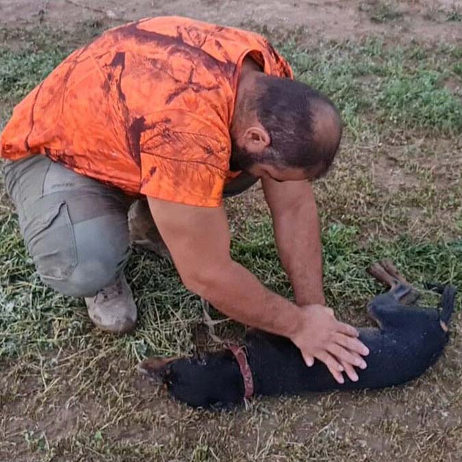 Köpek kalp masajı ile canlandı