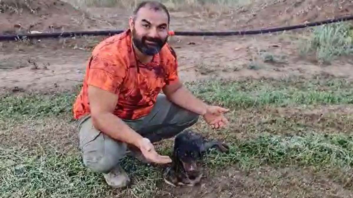 Asılı kalan köpek kalp masajı ile canlandı