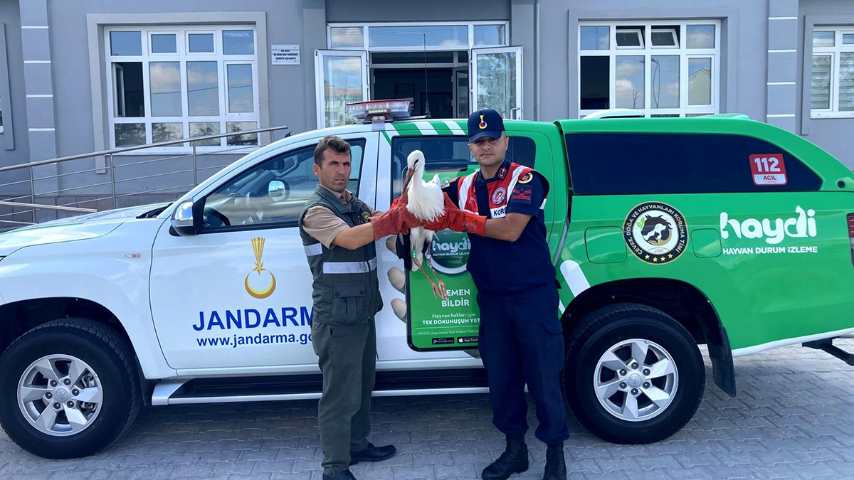 Ayağında çip olan leylek tedavi edildi