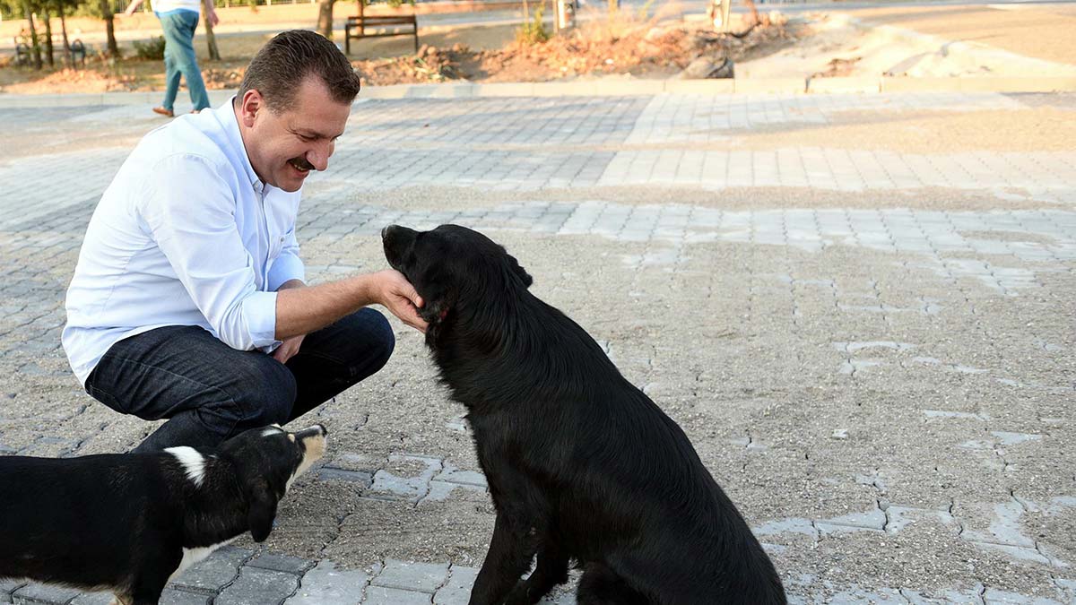 Can dostlar için Pati Kart