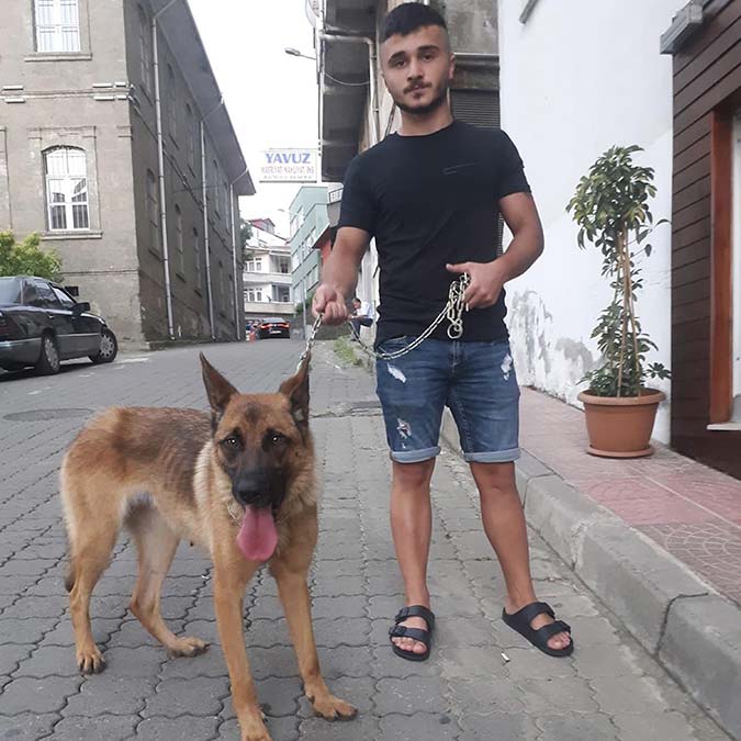 Barınakta tutulan köpeğe kuduz ve saldırgan değil raporu