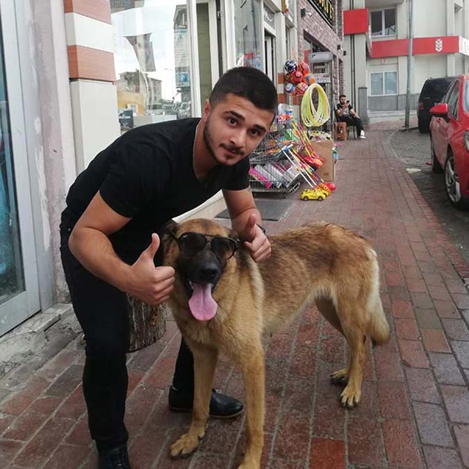 'Kurt melezi’ cinsi sahipsiz köpeğe, veterinerce kuduz ve saldırgan olmadığı raporu verildi. 20 gün tutulduğu barınakta takip edilen ve 'Sarıkız' adı verilen köpek, raporun ardından bırakıldı.