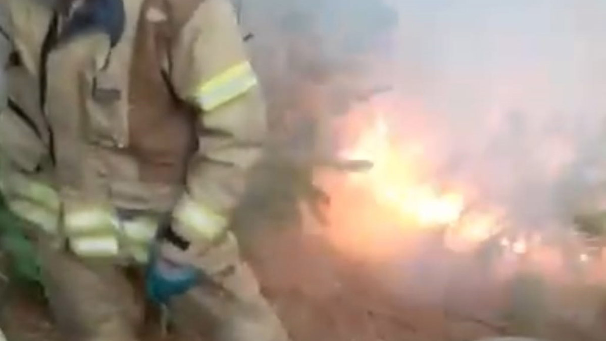 Beykoz'da çıkan orman yangını söndürüldü