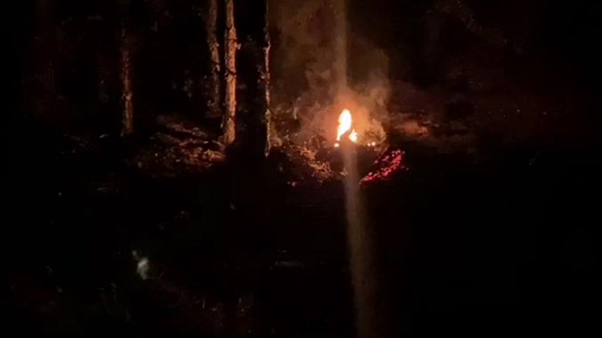 Bolu'da, orman yangını çıkarmaya çalıştığı iddiasıyla 2 şüpheli gözaltına alındı