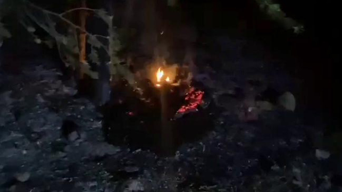 Bolu'da orman yangını çıkartmaya çalışan 2 kişi yakalandı