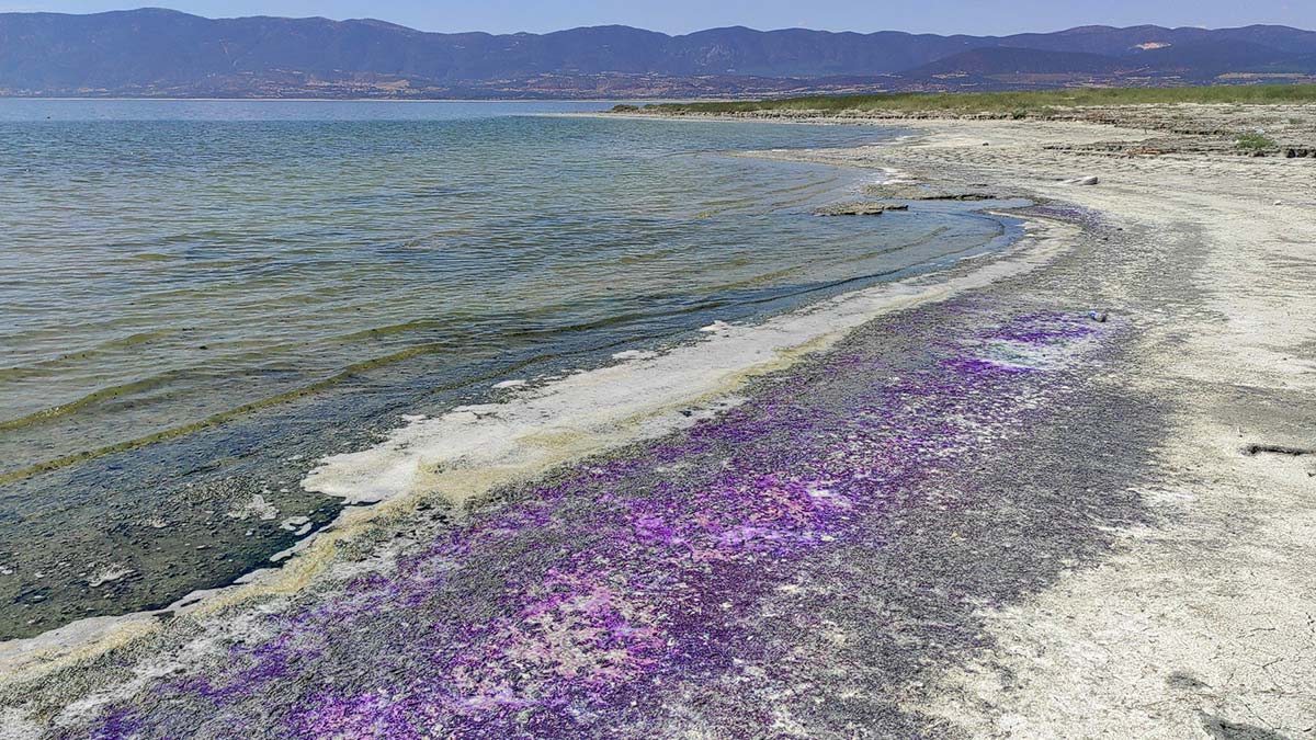 Burdur Gölü'nde kumların rengi mora döndü