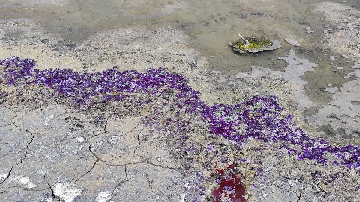 Burdur Gölü'nde kumların rengi mora döndü