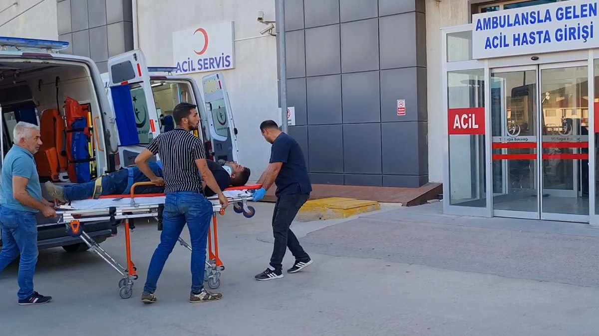 Bursa'da kamyonet ile hafif ticari araç kafa kafaya çarpıştı. Kontrolden çıkan kamyonetin şarampole yuvarlandığı kazada 7 kişi yaralandı.