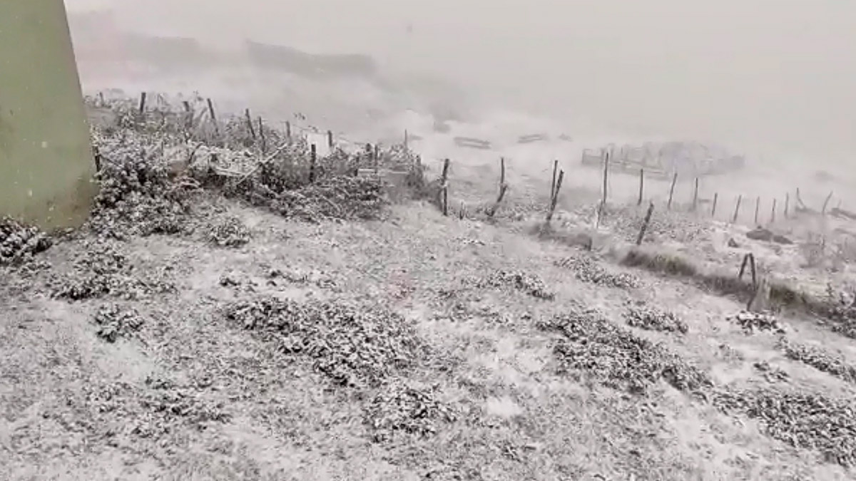 Doğu Karadeniz'in yaylalarına ilk kar yağdı