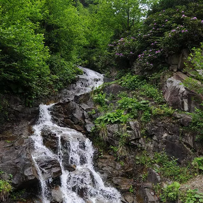 Rize'de su sıkıntısı başladı