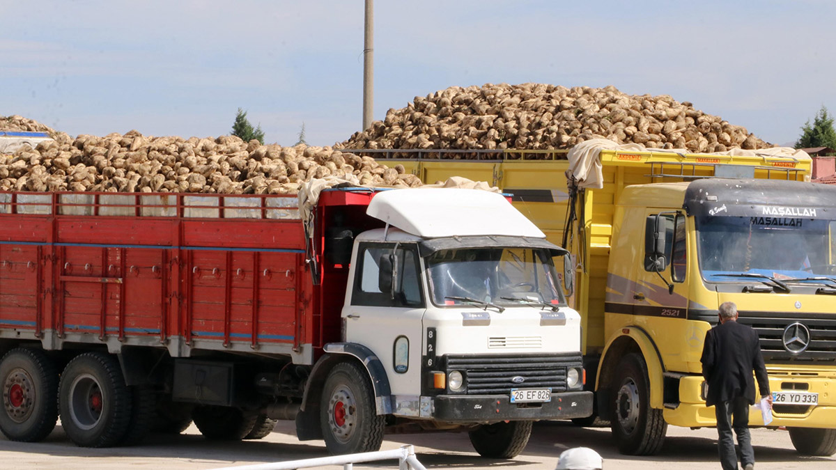 Kazım Taşkent Şeker Fabrikası'nda pancar sezonu açıldı