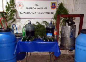 Evinde 17 kök Hint keneviri ile yakalandı