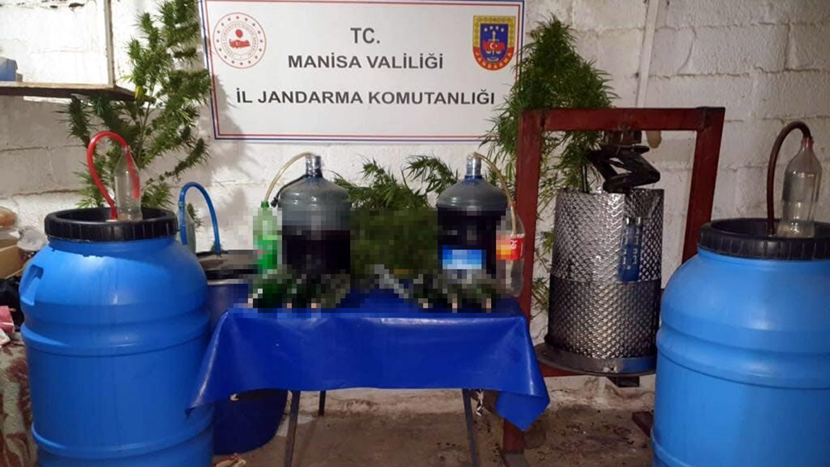 Evinde 17 kök Hint keneviri ile yakalandı