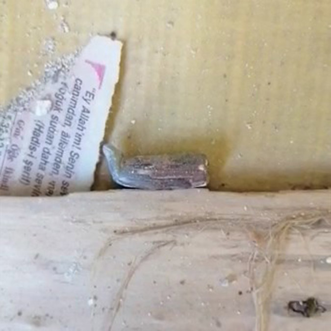 Fıstık bahçesinde saldırı kamerada