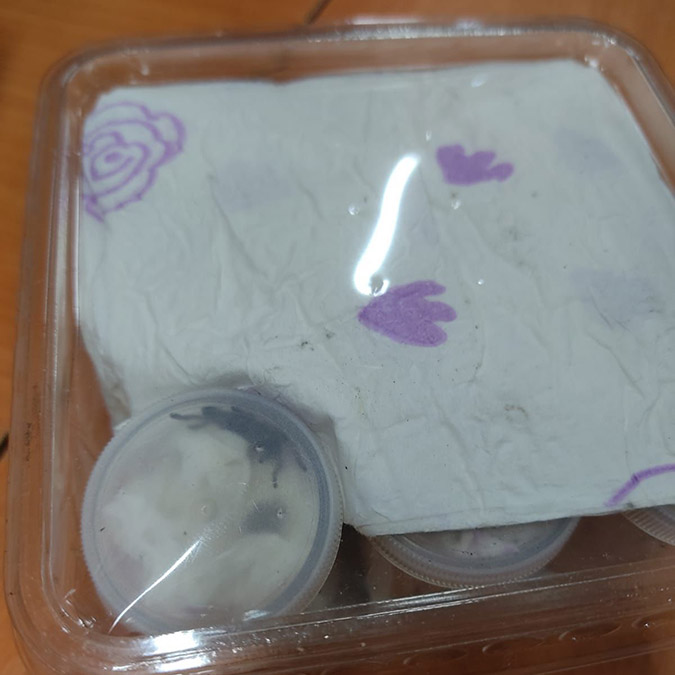 26 tüp içerisinde tarantula ele geçirildi