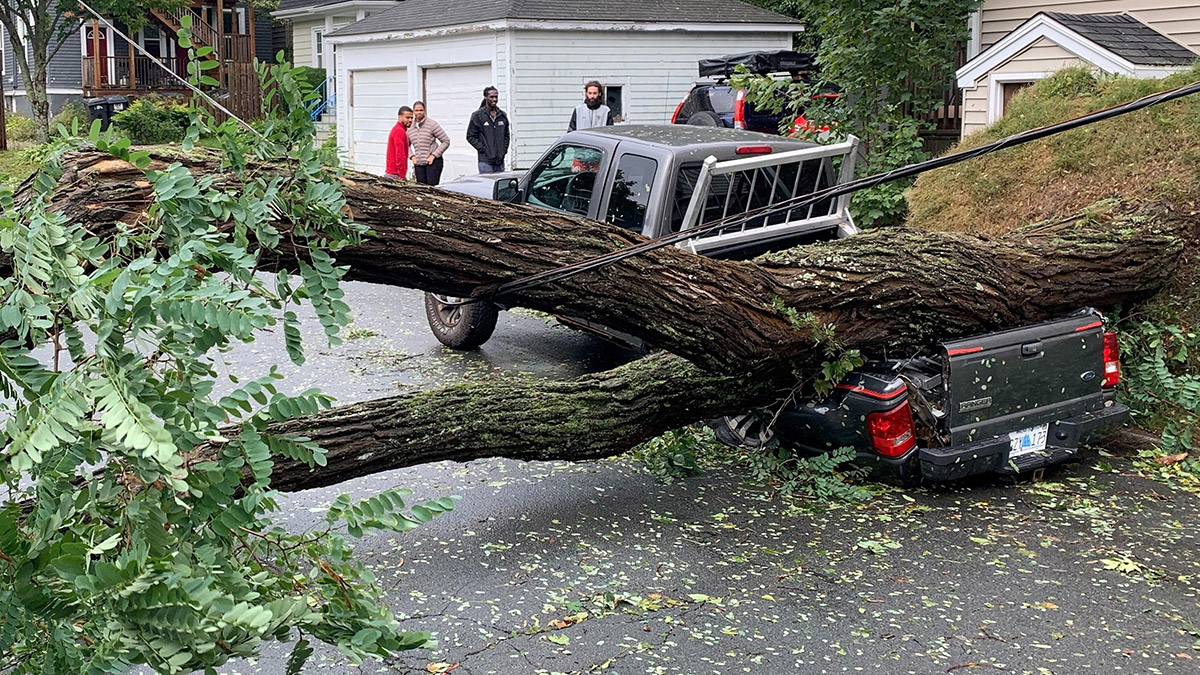 Fiona fırtınası; Evler denize sürüklendi