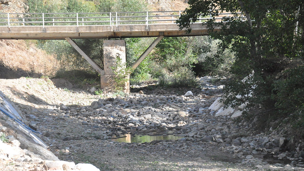 Doğu Karadeniz'de dereler kurumaya başladı