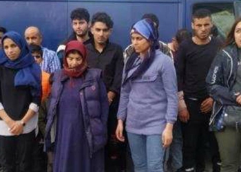 226 kaçak göçmen ve 6 organizatör yakalandı