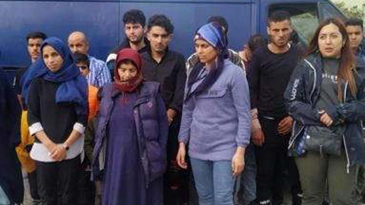 226 kaçak göçmen ve 6 organizatör yakalandı