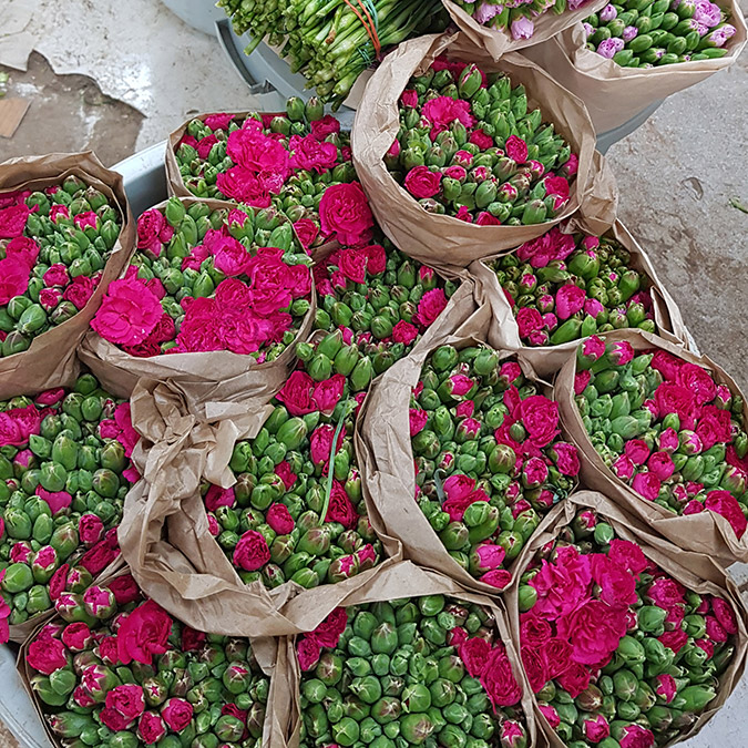 Kraliçe için İngiltere'ye 1.3 milyon dal çiçek gitti