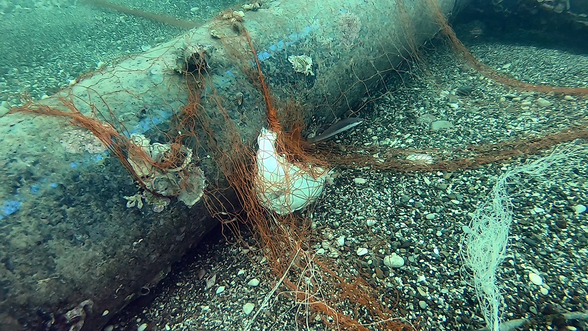 Markasız ağ ile avlanan balıkçılara, 3 bin 714 lira ceza kesilip ruhsatlarına 30 gün el konulacak. Gemi gırgır ise ceza 3 katı uygulanacak.