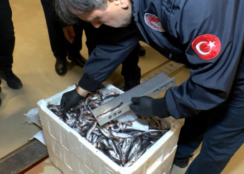 Gürpınar Su Ürünleri Hali'nde balıkçılara denetim