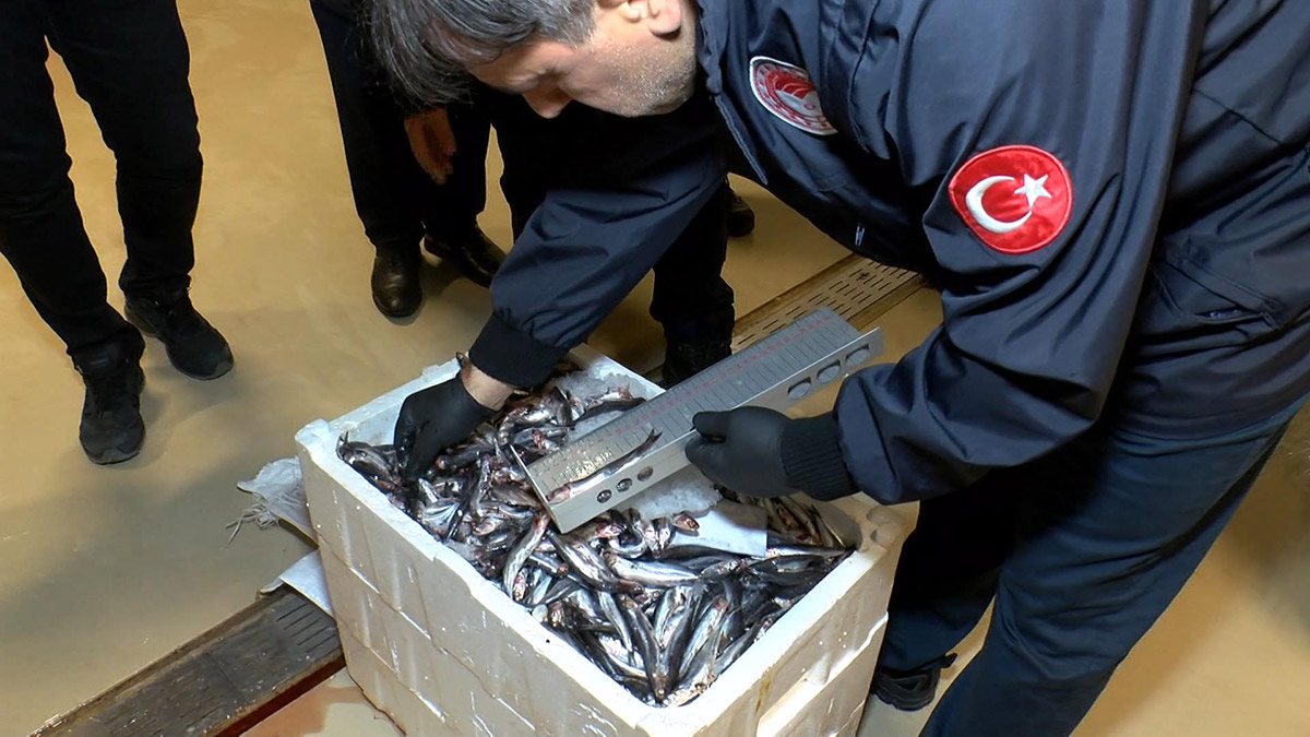 Gürpınar Su Ürünleri Hali'nde balıkçılara denetim