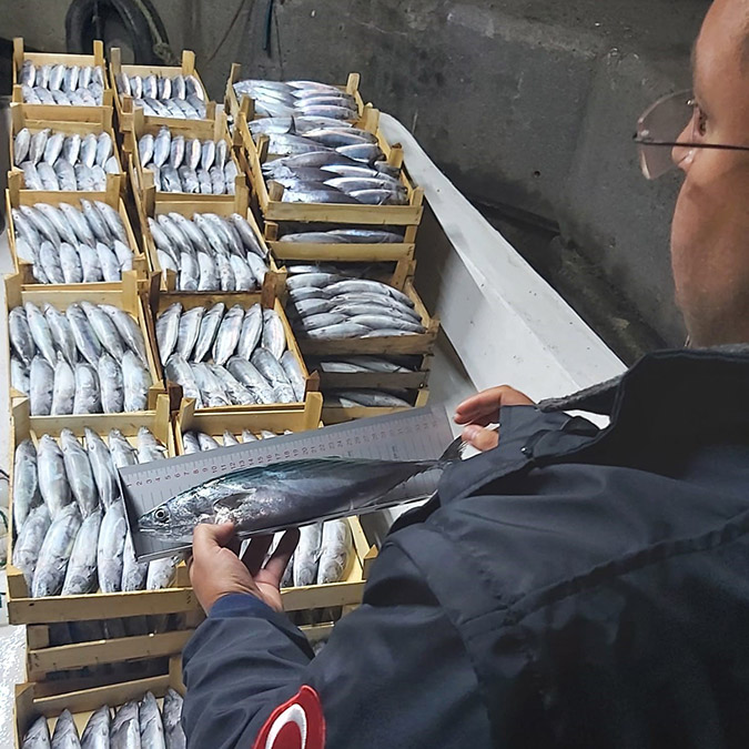 Gürpınar Su Ürünleri Hali'nde balıkçılara denetim