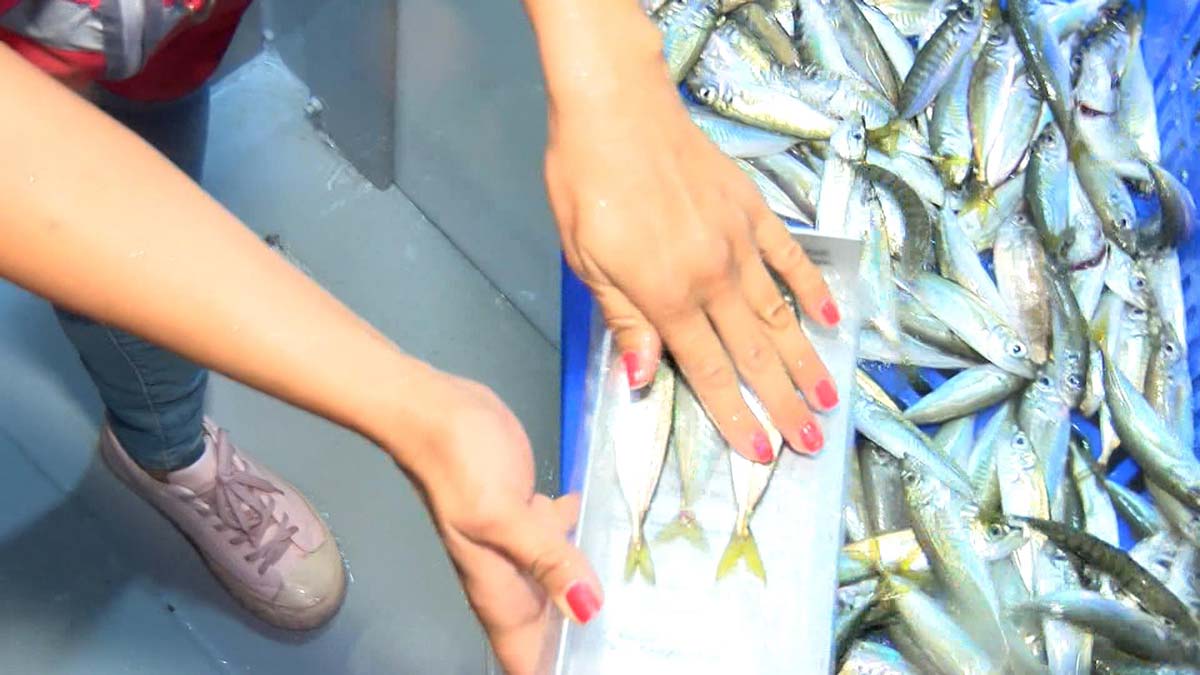 Marmara Denizi'nde balık avına çıkan tekneler denetlendi