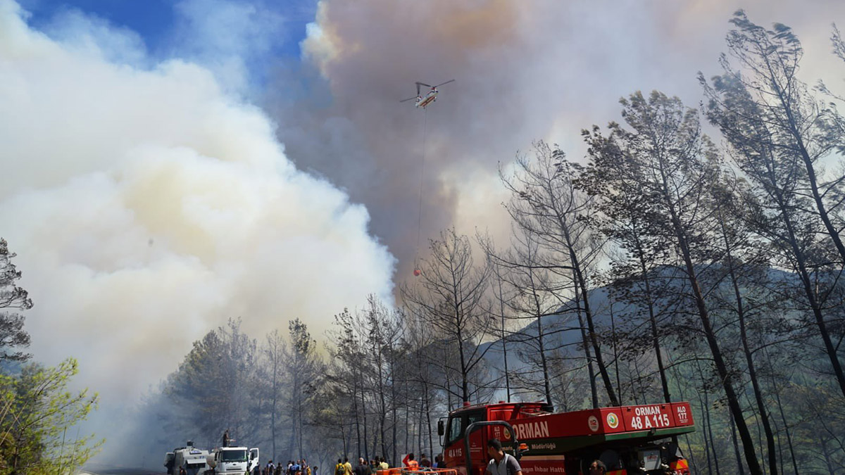 Marmaris'teki orman yangını kontrol altına alındı