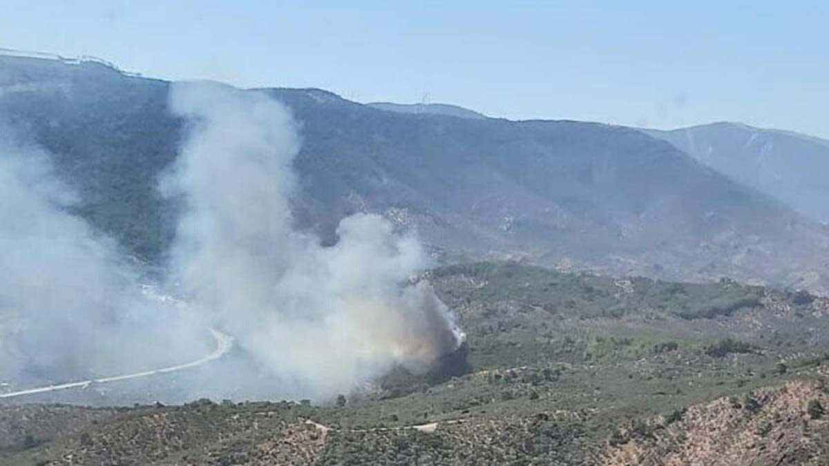 Zeytinlikte başlayan yangın makiliğe sıçradı