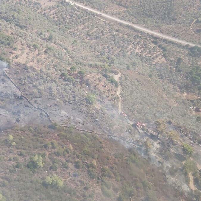 Zeytinlikte başlayan yangın makiliğe sıçradı