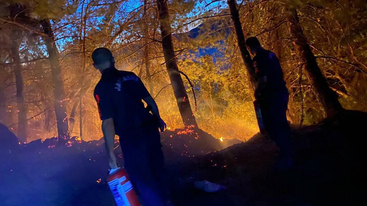 Milli Park'ta çıkan yangın söndürüldü