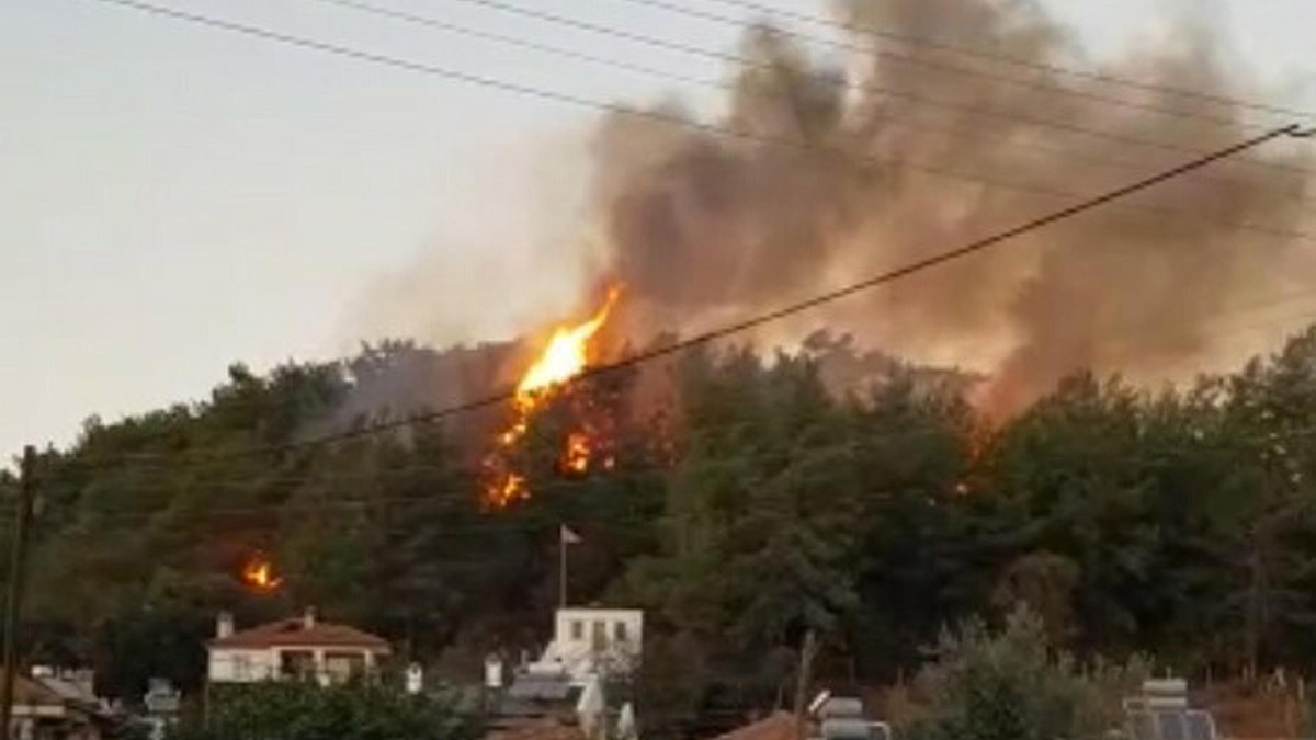 Ula'da çıkan orman yangını kontrol altına alındı