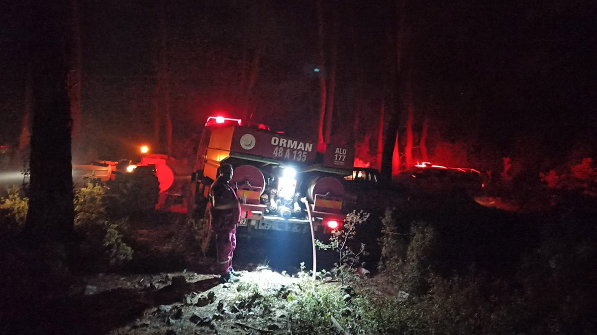 Ula'da orman yangını