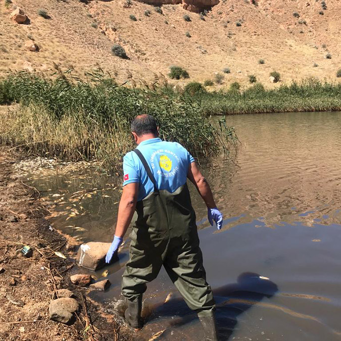 Obruk Gölü'nde yüzlerce balık öldü