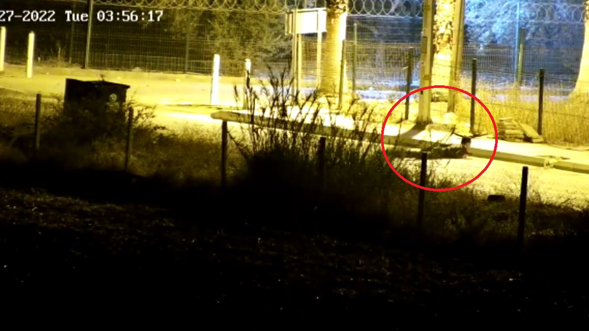 Polisevi saldırısında yaralanan polis memuru; faciayı önledik