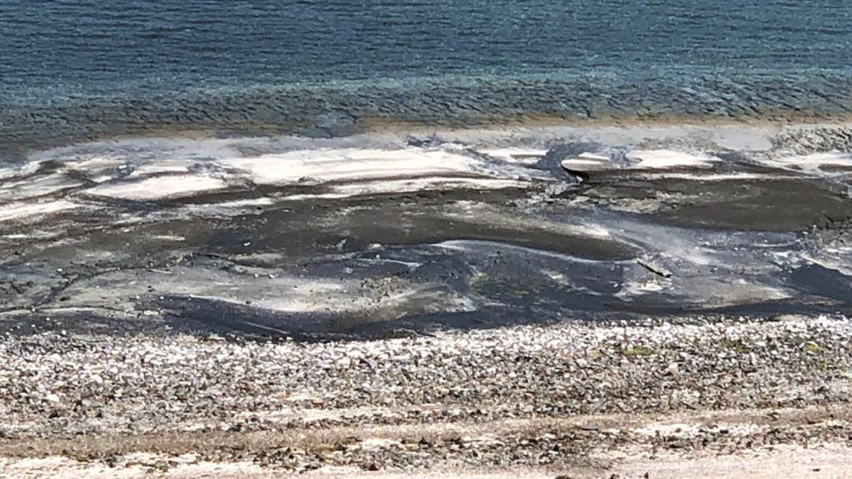 Salda'da 'salyalaşma' ve 'kararma' uyarısı