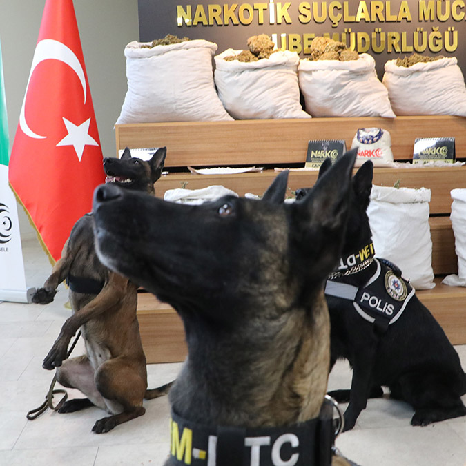 Şanlıurfa'da torbacı operasyonu; 86 gözaltı