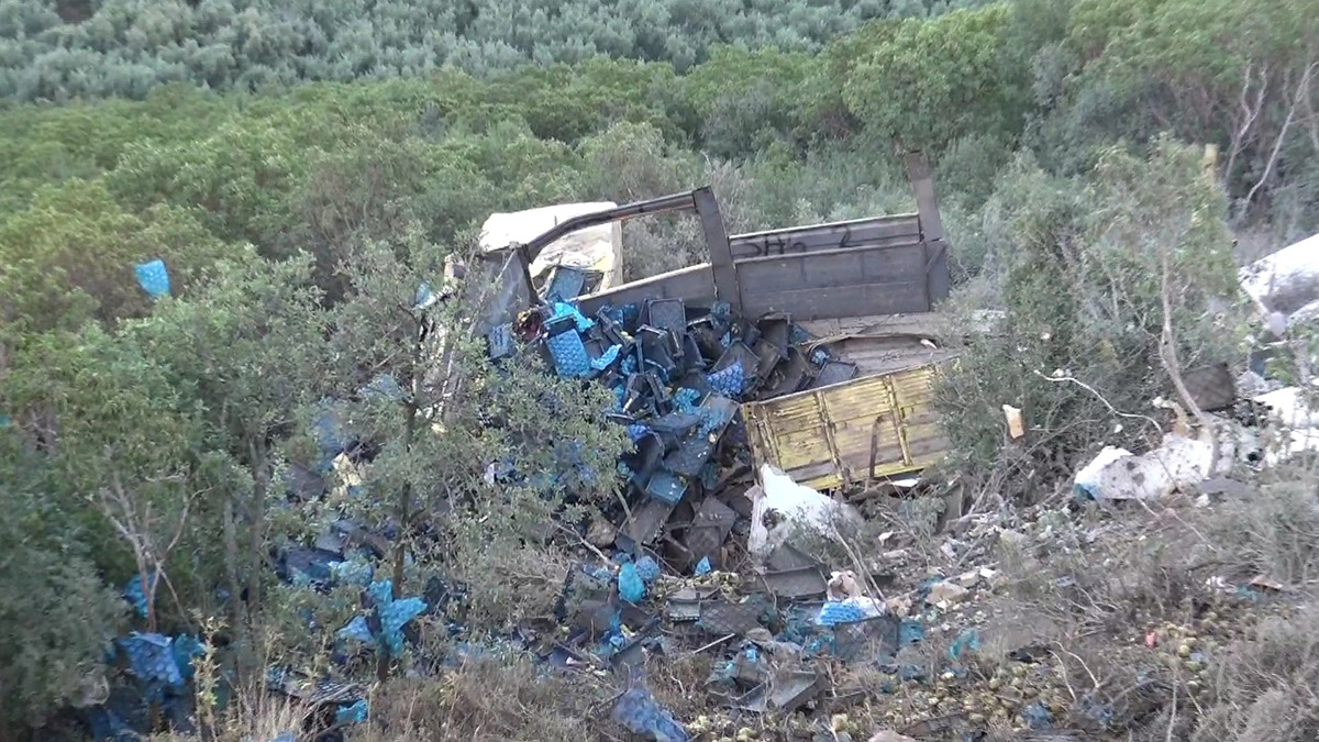 Meyve yüklü kamyon şarampole yuvarlandı