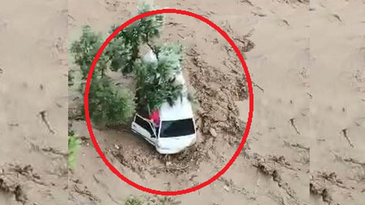 Selde zeytin ağacına takılarak ölümden dönen aile: Çok korktuk