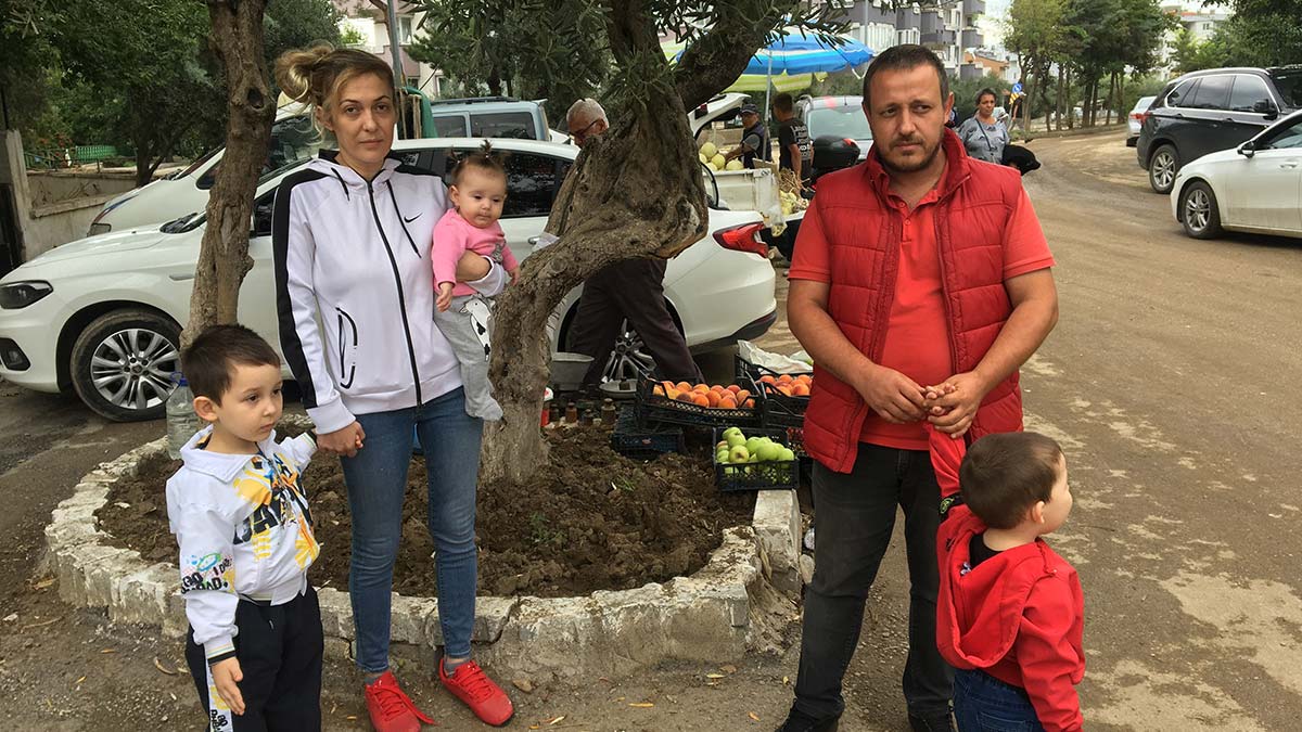 Selde zeytin ağacına takılarak ölümden dönen aile: Çok korktuk