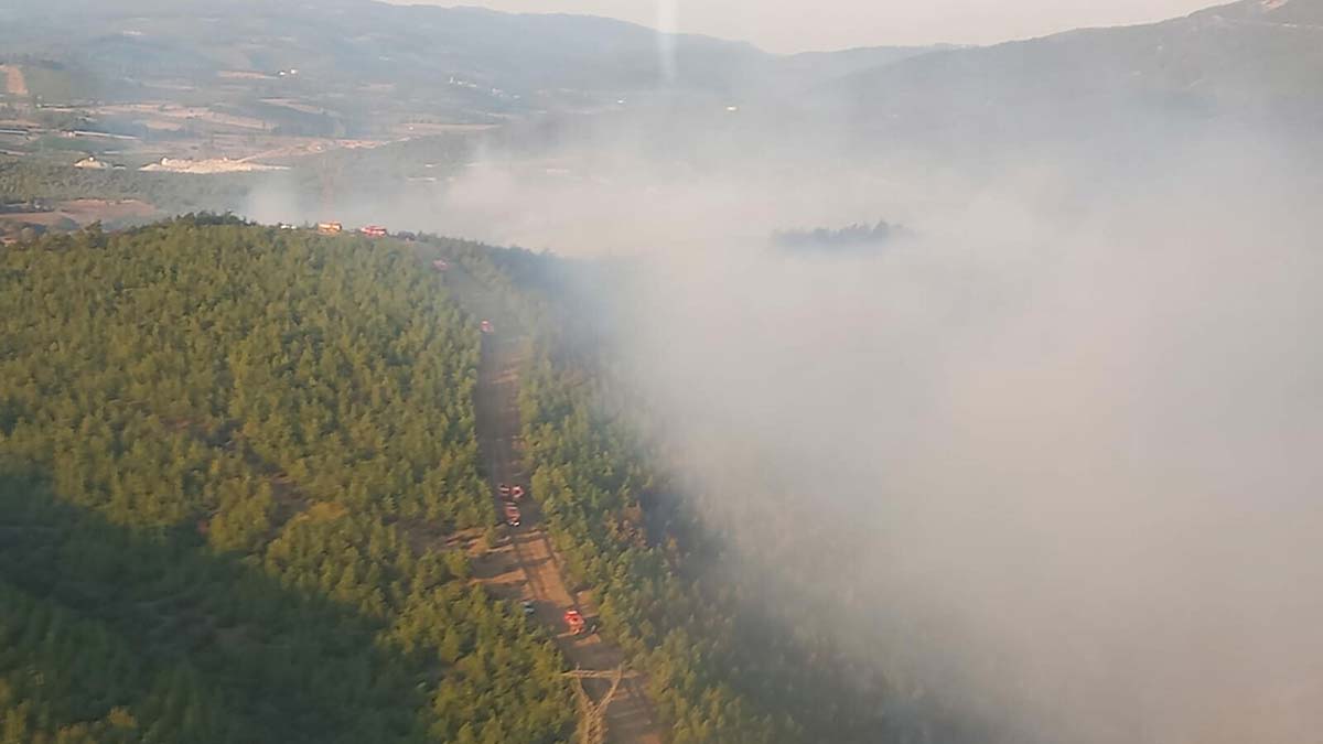 Manisa'nın Soma ilçesinde dün öğle saatlerinde çıkan ve saatte 45 kilometre hızla esen rüzgar nedeniyle büyüyen orman yangını, 16 saatte söndürüldü. Soma'daki yangında 60 hektar ormanlık alanının zarar gördüğü belirtildi.