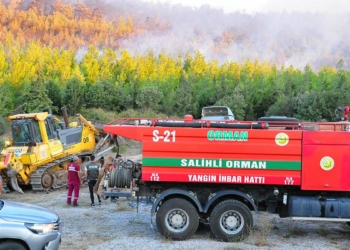 Soma'daki yangında 60 hektar ormanlık alan zarar gördü