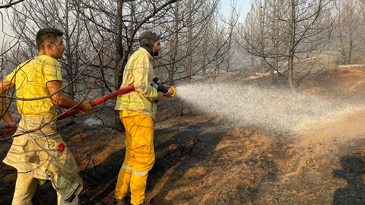 Soma'daki yangında 60 hektar ormanlık alan zarar gördü