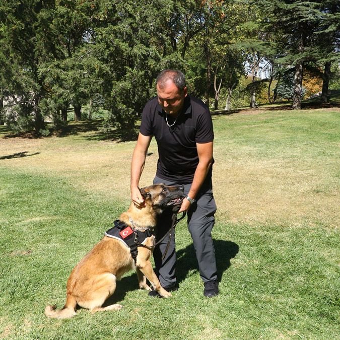 Meclis'in kahramanları; Bomba arama köpekleri