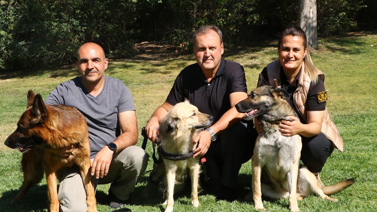 Ankara'da Türkiye Büyük Millet Meclis'inde görev yapan bomba arama köpekleri Pito, Eyja ve Ateş, Meclis'in güvenliğinde etkin rol oynuyor.
