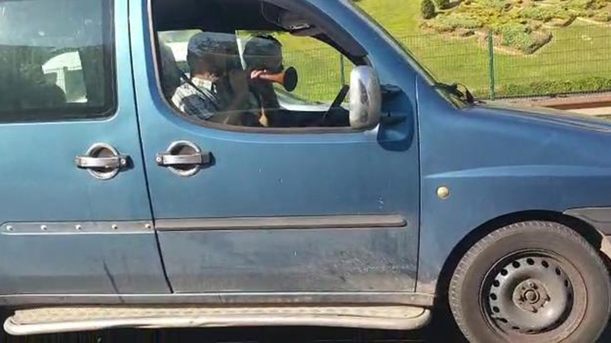 TEM'de zurnayla mini konser