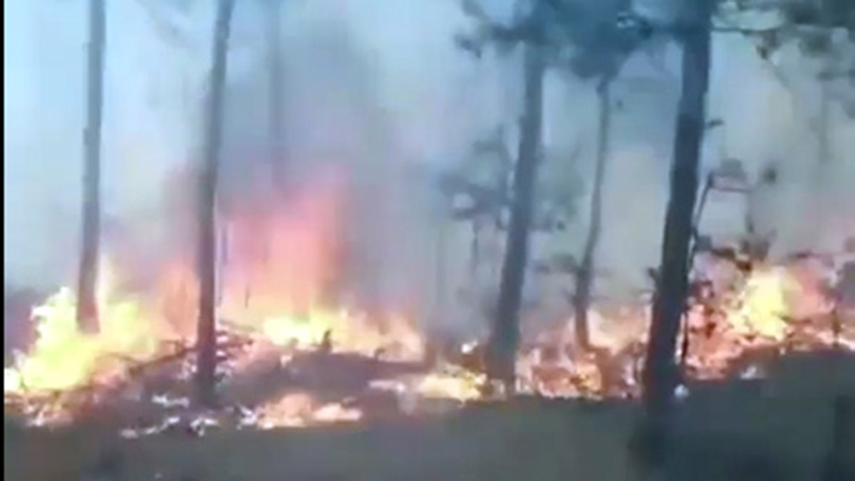 Reşadiye'de 3 hektarlık alan yandı